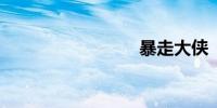 暴走大侠