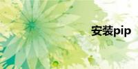 安装pip
