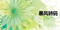 暴风转码