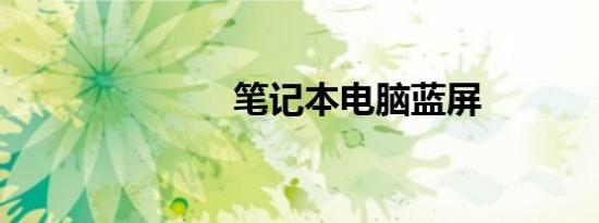 笔记本电脑蓝屏