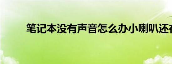笔记本没有声音怎么办小喇叭还在