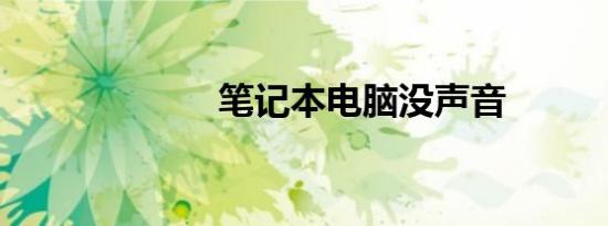 笔记本电脑没声音