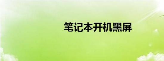笔记本开机黑屏