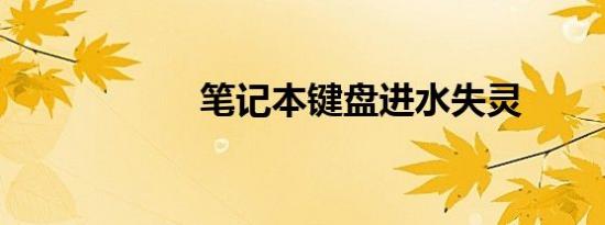 笔记本键盘进水失灵