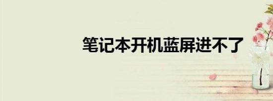 笔记本开机蓝屏进不了