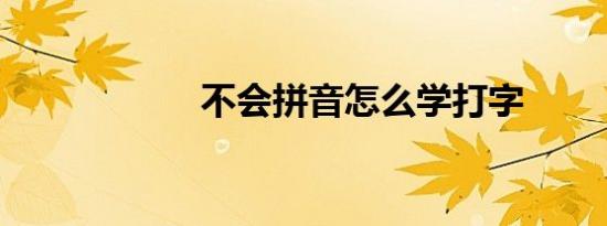 不会拼音怎么学打字