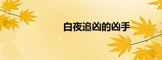 白夜追凶的凶手