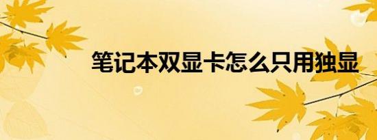 笔记本双显卡怎么只用独显