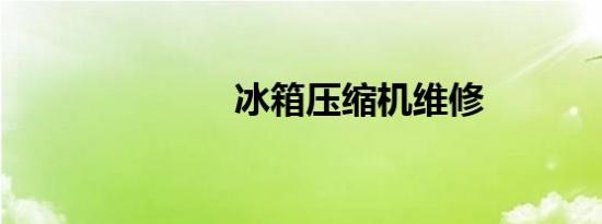 冰箱压缩机维修