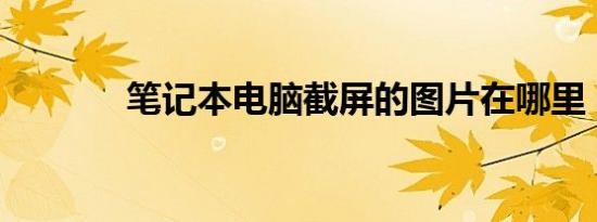 笔记本电脑截屏的图片在哪里
