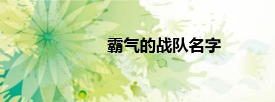 霸气的战队名字