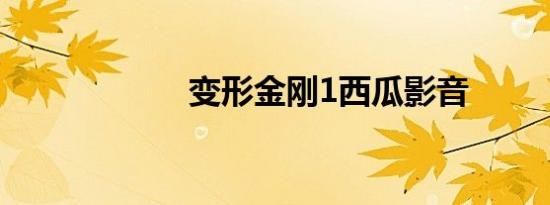 变形金刚1西瓜影音