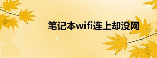 笔记本wifi连上却没网