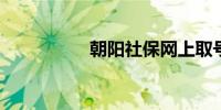朝阳社保网上取号系统