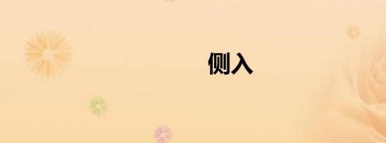 侧入