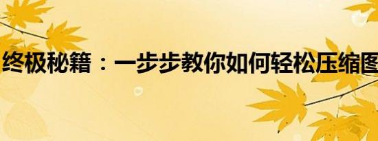 终极秘籍：一步步教你如何轻松压缩图片大小