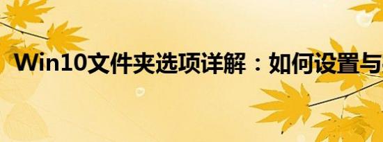 Win10文件夹选项详解：如何设置与操作？