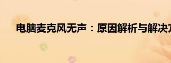 电脑麦克风无声：原因解析与解决方案