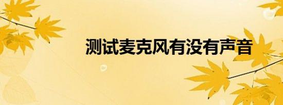 测试麦克风有没有声音