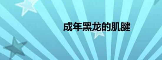 成年黑龙的肌腱
