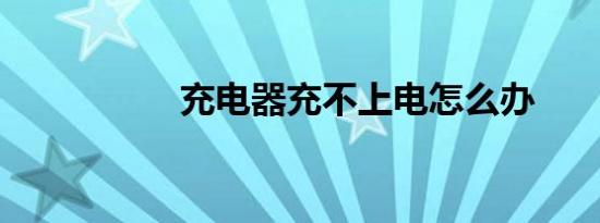 充电器充不上电怎么办