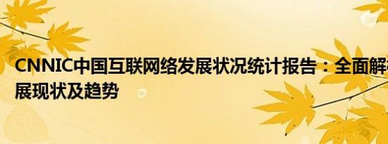 CNNIC中国互联网络发展状况统计报告：全面解析互联网发展现状及趋势
