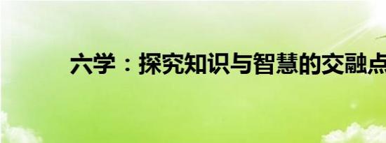 六学：探究知识与智慧的交融点