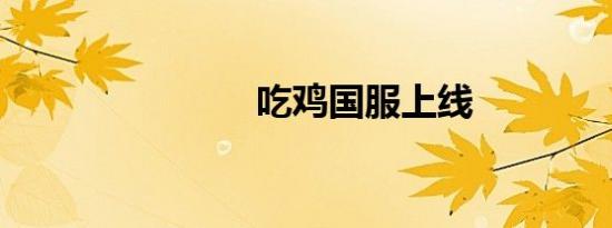 吃鸡国服上线
