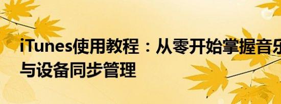 iTunes使用教程：从零开始掌握音乐、视频与设备同步管理