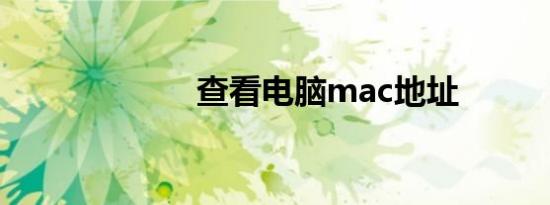 查看电脑mac地址