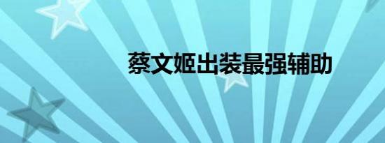 蔡文姬出装最强辅助