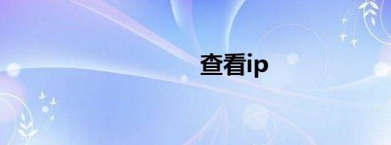 查看ip