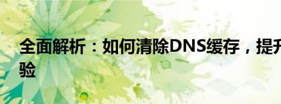 全面解析：如何清除DNS缓存，提升网络体验