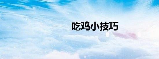 吃鸡小技巧