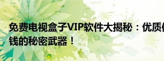 免费电视盒子VIP软件大揭秘：优质体验不花钱的秘密武器！