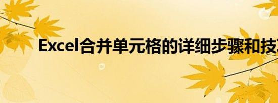 Excel合并单元格的详细步骤和技巧