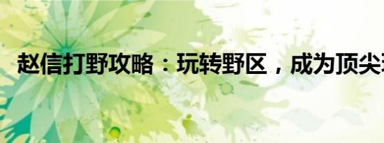 赵信打野攻略：玩转野区，成为顶尖玩家！