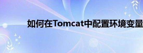 如何在Tomcat中配置环境变量