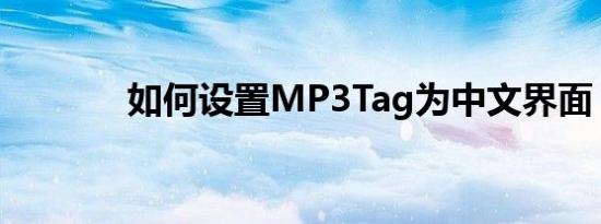 如何设置MP3Tag为中文界面