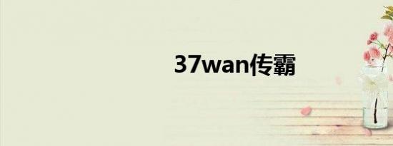 37wan传霸