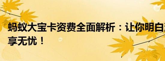 蚂蚁大宝卡资费全面解析：让你明白消费，畅享无忧！