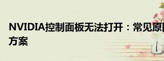 NVIDIA控制面板无法打开：常见原因与解决方案