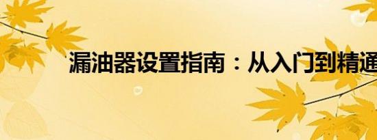 漏油器设置指南：从入门到精通