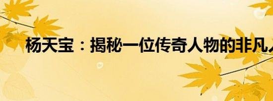 杨天宝：揭秘一位传奇人物的非凡人生
