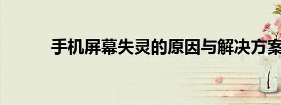 手机屏幕失灵的原因与解决方案