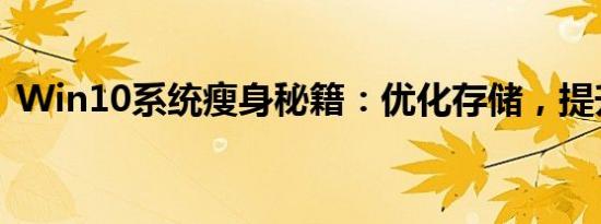 Win10系统瘦身秘籍：优化存储，提升性能