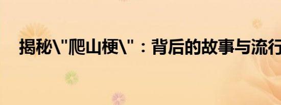 揭秘