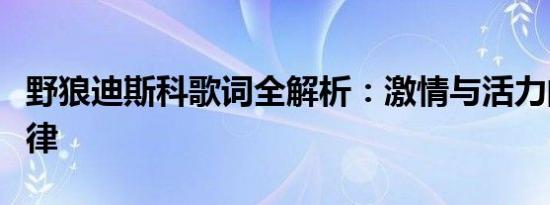 野狼迪斯科歌词全解析：激情与活力的舞蹈旋律