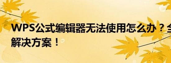 WPS公式编辑器无法使用怎么办？全面解析解决方案！