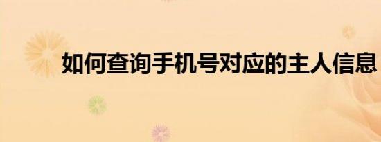 如何查询手机号对应的主人信息？